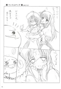 [観月堂] 電撃ラグナ (RO)