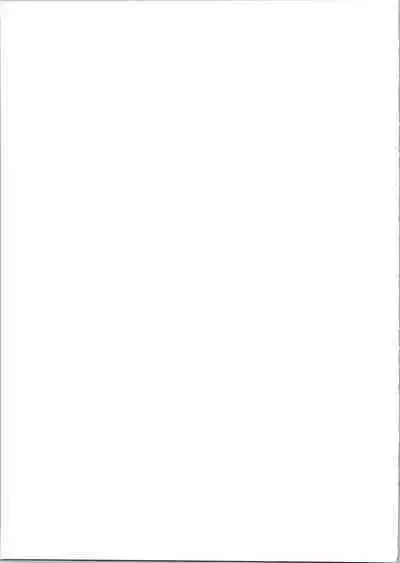 Star Twinkle PuniCure 2