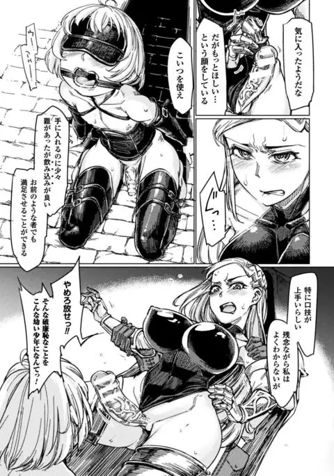 Seigi no Heroine Kangoku File Vol. 15