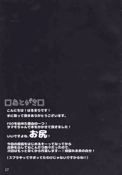 (C92) [caipirinha (Harumari)] Sunshine love! (Fate/Grand Order)