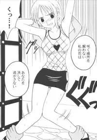 [Crimson Comics (Carmine)] Koukai Soushuuhen (One Piece)