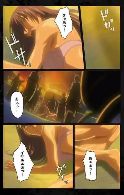 DARK SHELL ori no naka no tsuya kanzenhan