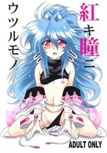 (COMIC1?5) [Leaz Koubou (Oujano Kaze)] Akaki Hitomi ni Utsuru Mono (Super Robot Wars OG)