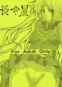 (C74) [Chomei-ya (Kyu)] Xanadu 2nd (Record of Lodoss War)