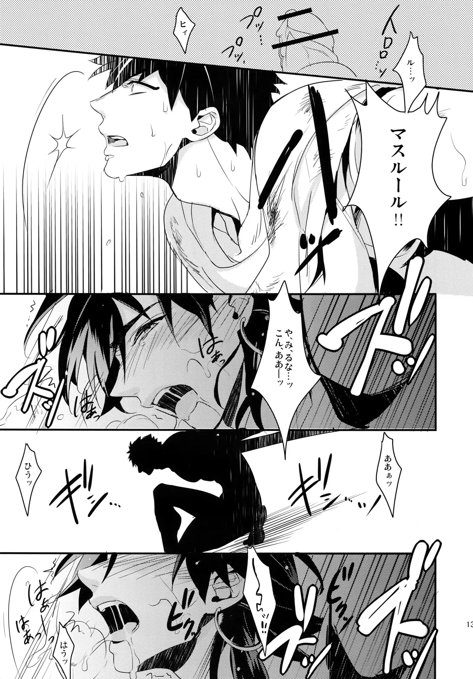 PureSlider. Sairoku 2011 - 2012