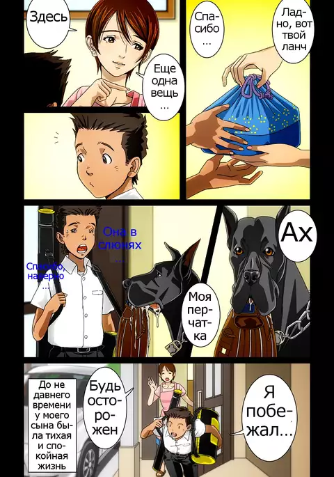 “Wonderful Life” ~Shufu to “Aiken” no Hisoyaka na Gogo~