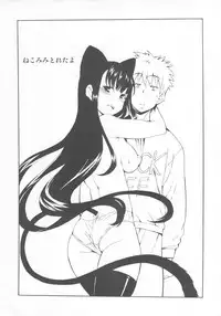 (C83) [Hohhe!! Dan (Inu)] Hohhe!! Dan no Hon vol.10 Nekomimi Toreta yo