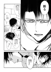 (C90) [RIX (Mamiya)] Ten ni Habataita Sono Ato mo (Shingeki no Kyojin)