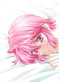 (C70)[Henrei-kai (Kawarajima Koh)] G-heroines (Kidou Senshi Gundam SEED DESTINY)