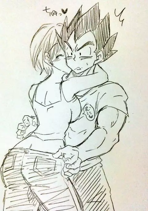 VegeBul rakugaki manga modoki