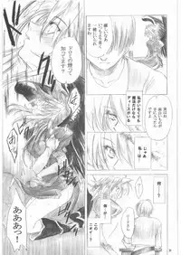 (C73) [Toko-ya (HEIZO, Kitoen)] Yasashii Uta 1 (Breath of Fire II)