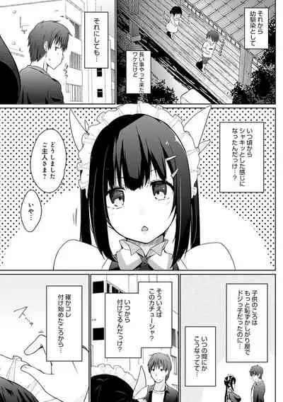 Houshi Shuzoku ga Yattekita!