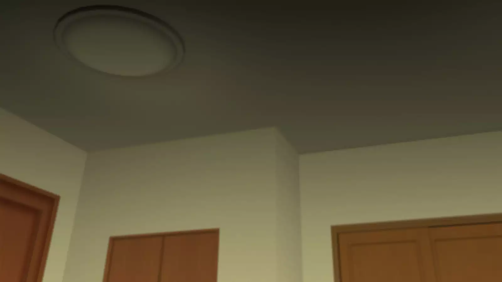 Watashi wa Korekara mo, Kitto Anata ga Suki.