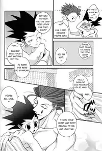 (HaruCC20) [H+ (Hiroko)] Dokusenyoku to Vibration | Greed and Vibration (Hunter x Hunter) [English] [HXH-Doujinshilivejournal]