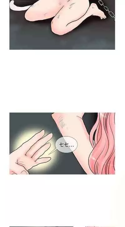 小野貓馴服手冊