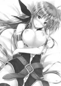 (C82) [IV VA SHIN (Mikuni Mizuki)] Home Sweet Home ~Fate hen 3~ (Mahou Shoujo Lyrical Nanoha)