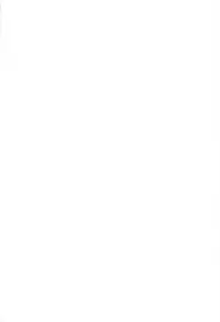 (Reitaisai 10) [Reverse Noise (Yamu)] Tengu Sarai (Touhou Project)