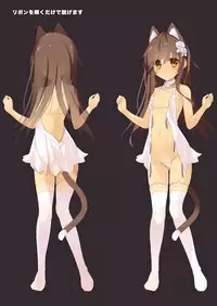 Neko Neko Note 4b