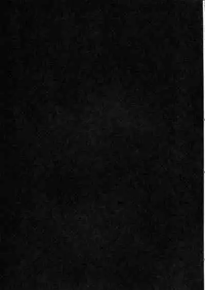 Perfect Lesson 6 - Honda Mio Yagai Choukyou