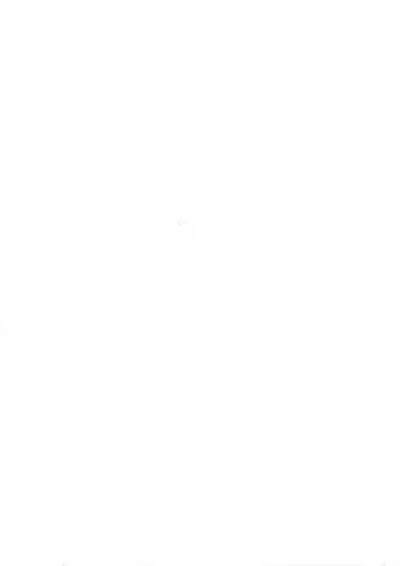 Shining Violet | 阳光紫罗兰