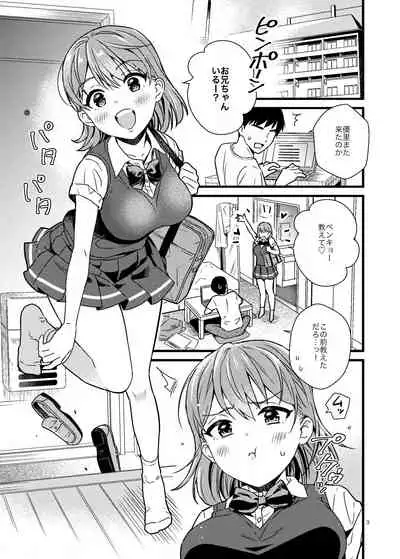 ナイショで妹とシちゃう話