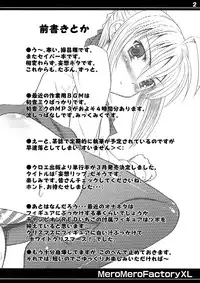 (C73) [MeroMeroFactory XL (Mochisuke Teru)] Someone Looking Like The Saber. (Fate/stay night)