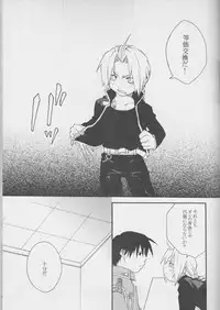 [MIX*SCRAMBLE (Kasuga Yume)] TRUE SECRET (Fullmetal Alchemist)