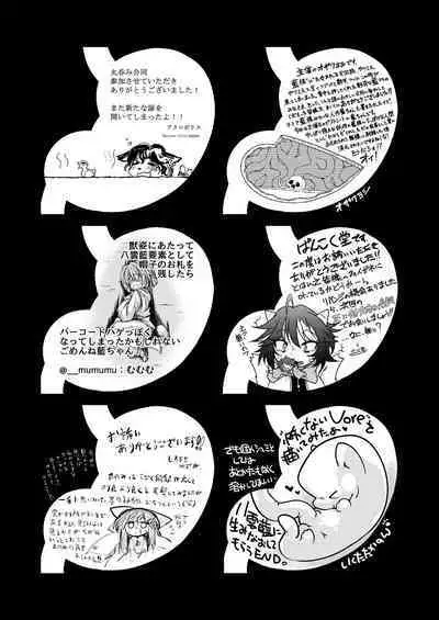 [YAMADA AIR BASE (Various)] Ran-sama Marunomi Goudoushi (Touhou Project) [Digital]