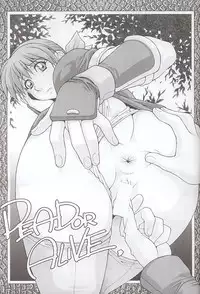 (C58) [Dynamite Honey (Gaigaitai)] Dynamite 6 DEAD OR ALIVE 2 (Dead or Alive)