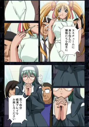 Saishuu Chikan Densha kanzenhan