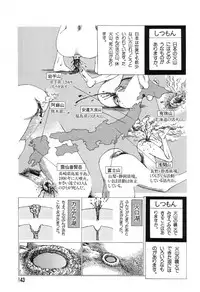 [Kago Shintarou] Yume no Omocha Koujou