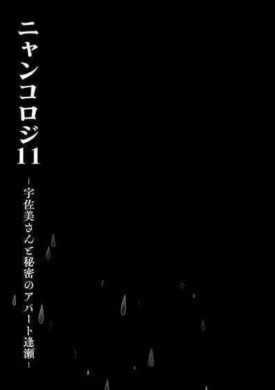 (Mega Akihabara Doujinsai 1) [Kinokonomi (konomi)] Nyancology11 -Usami-san to Himitsu no Apart Ouse- [Chinese] [绅士仓库汉化]