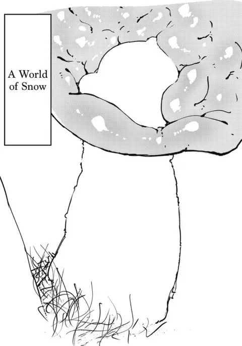 The Weeny Corrections Manual