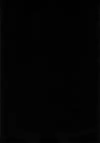 (C88) [H.B.A (Usagi Nagomu)] Kaihana - Ochita Elf Tsuma [Chinese] [CE汉化组]