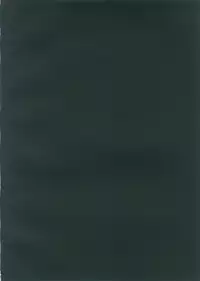 (FF18)[黑糯米飯糰(TRY方言)]東方淫乳宴 [中国語]