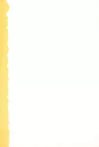 [Akira Hajime] Aoi Shojokyuu