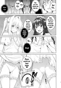 (COMIC1☆11) [sin-maniax (Todoroki Shin)] ToLOVEleS (To LOVE-Ru Darkness) [English] [Doujins.com]