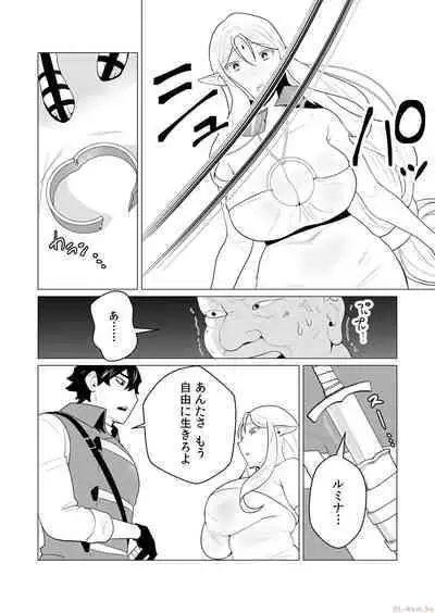 Yuusha-sama wa Houshuu ni Hitozuma o Gokibou desu Vol. 1