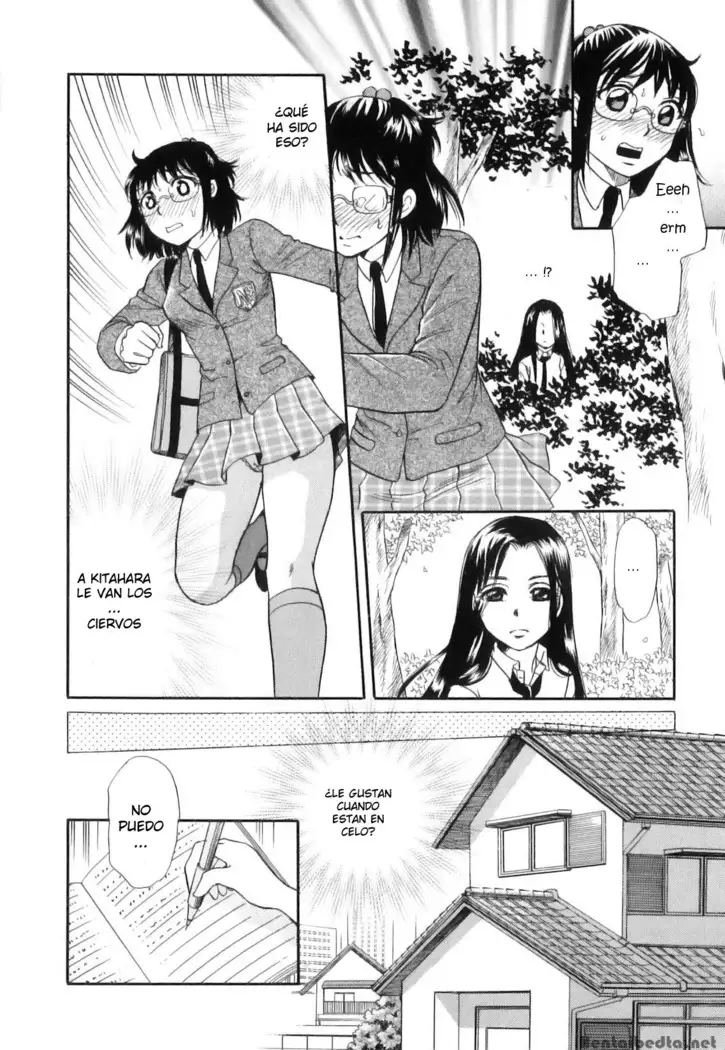 Shoujo-tachi no Yukue ~Shishigami no Mori~ | Divine Deer Forest ~Girls' Whereabouts~