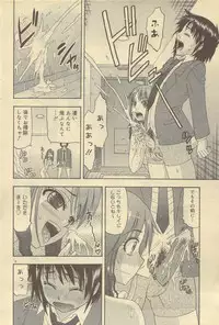 COMIC DOLPHIN 2006-10