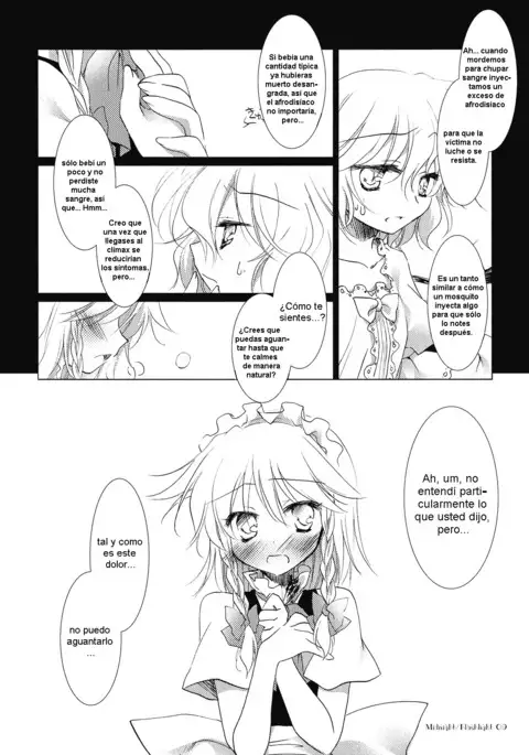 Midnight / Flashlight