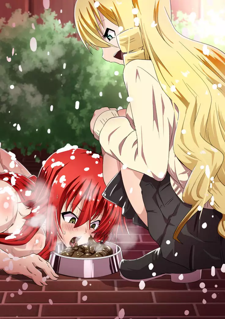 Kuppuku Yuujo ~Kenryoku ni Kusshita Isamashiki Onna no Ketsumatsu~