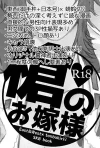 [Kinugawa] Yari no Oyome-sama (Touken Ranbu)