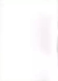 (SC53) [2Stroke (YTS Takana)] 2Stroke MX (Suite PreCure)