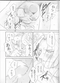 [Nenone-ya (Nenone Miya)] Taion (Fullmetal Alchemist)