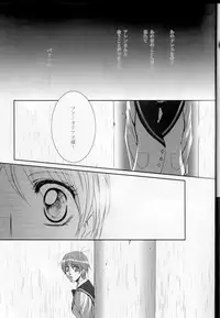 (C68) [Takahashi Kanbanten (Tajima Minato)] Kago no Tori 3 (Tenkuu No Escaflowne)