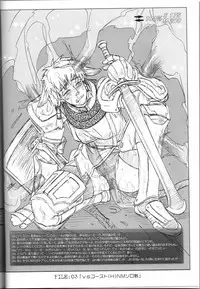 (C67) [NP Virus Jouryuusho (N-P-KATOU)] Mithman Report FILE:00-FILE:15 (Final Fantasy XI)