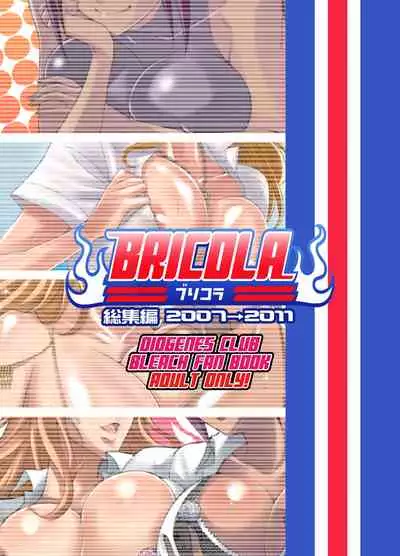 [Diogenes Club (Haikawa Hemlen)] BRICOLA Soushuuhen (Bleach) [Digital]