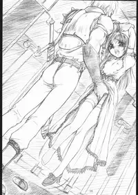 (CR28) [MEKONGDELTA (Route39)] SHADOW GALLERY