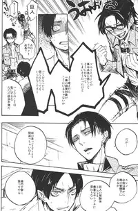 (FALL OF WALL2) [Senkan AA (Ahiru)] Kimi o Kowashi Tai (Shingeki no Kyojin)